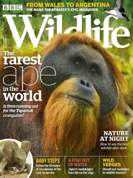 Title details for BBC Wildlife Magazine by Our Media Limited - Available